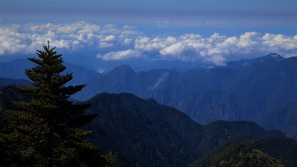 艱辛一日單登中橫特辣白姑大山1057689