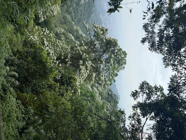 偷吃步之台北天際線第十段2777830