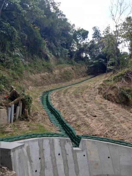 台中大坑1號+5號步道上頭嵙山812205