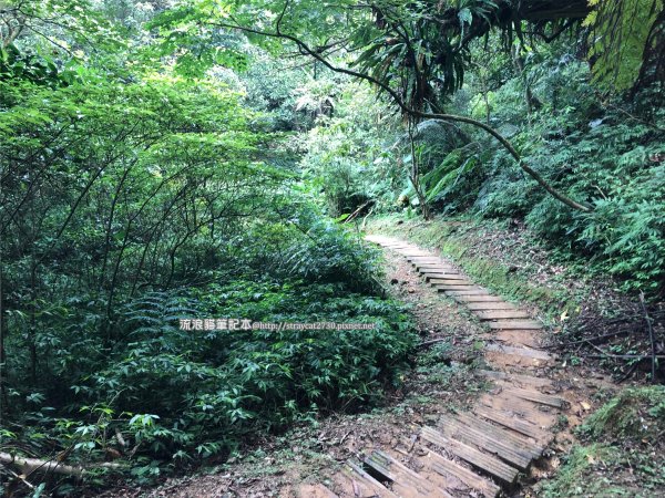 三貂嶺越嶺猴硐步道1035717