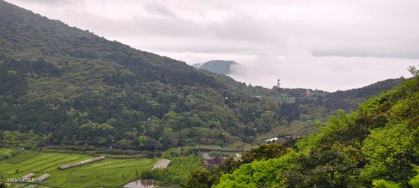 陽明山追雲趣 #天空之城 #石門嵩山梯田 #鳶尾花 #老梅綠石槽 4/5-63030193
