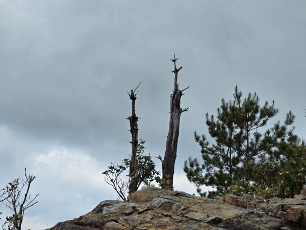 終於看到1000元背面的山景登頂玉山北峰／前峰2495838