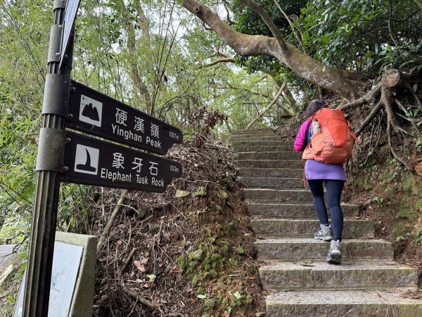 淡水搭渡輪上觀音山+占山O繞 搭公車接渡輪回淡水-202503182770628