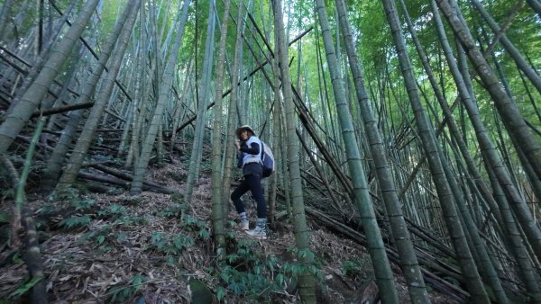 阿里山頂湖三連峰:天福山、芙蓉山、凸龜山2810083