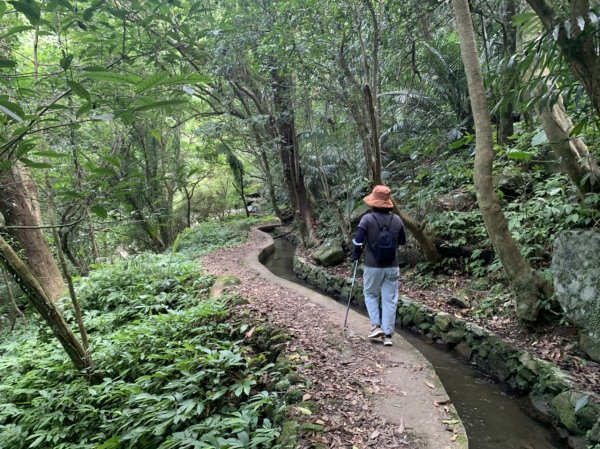 坪頂古圳步道—瑪礁古道（新圳頭山）—大崎頭步道1751952