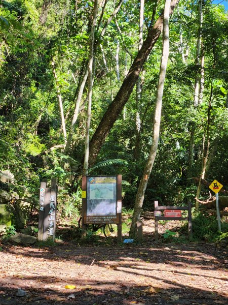 20230924 谷關雙雄，屋東縱走（屋我尾山，東卯山）2293409