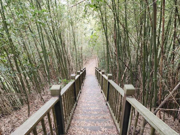 苗栗三灣｜龍峎頂步道2973703