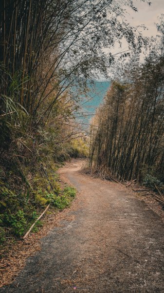 2025嘎拉賀野溪溫泉2719818