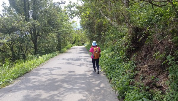 (姨婆趴趴走)第五十集:新北樹林大同山、青龍嶺、大棟山諸峰連走2751630