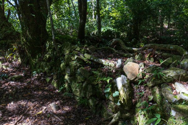 【秀巒-芝生毛台山】砲台遺址1030519