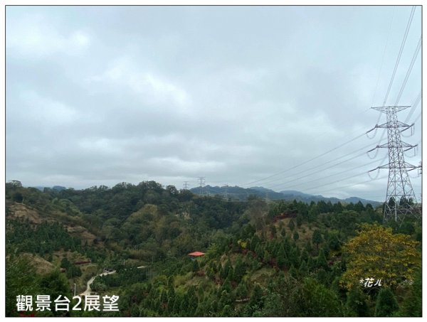 三灣落羽松秘境2676777