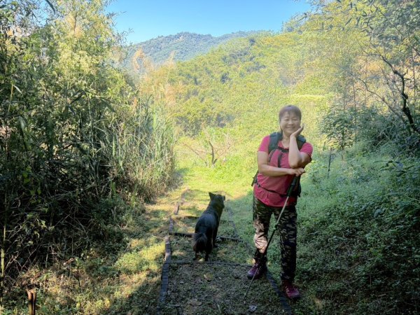 雙崎埋伏坪山歩道、鯉魚潭水庫、大峽谷2938929