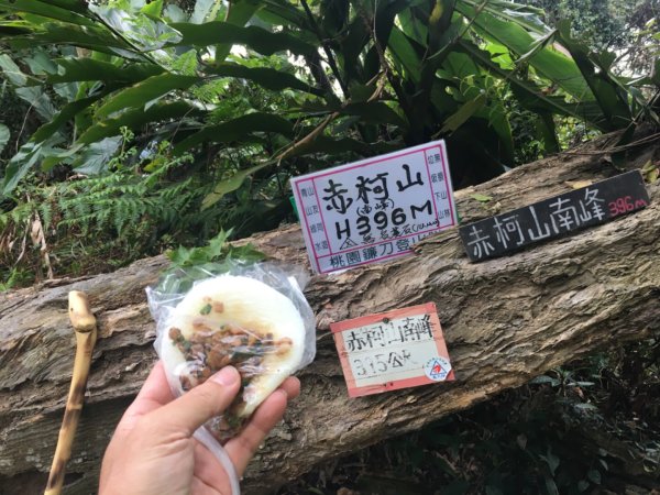 赤柯山、東獅頭山2748547