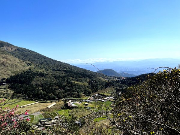 走遍陽明山：人車分道系統｜遇見霸王七葉一枝花2062871