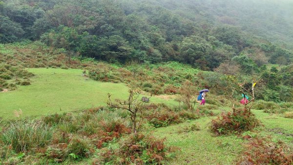 陽明山後花園，百年靜美牧牛山徑，古道草原精華連走2787733