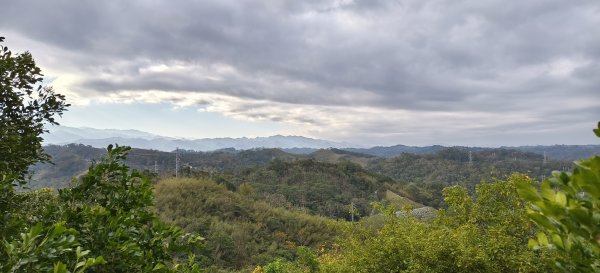 2025/01/04_鹿廚坑健行步道2683481