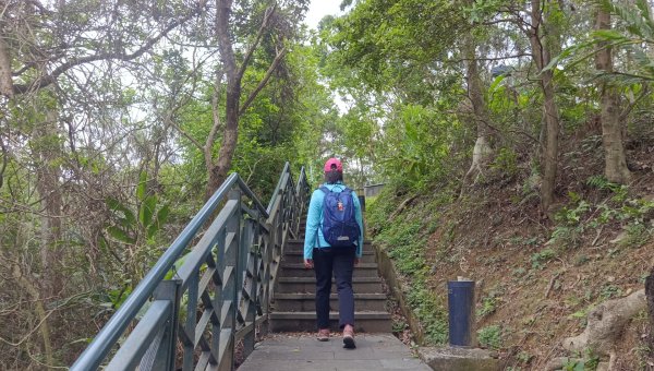 (姨婆趴趴走)第五十二集:新北新店攀登和美山及灣潭山2761090