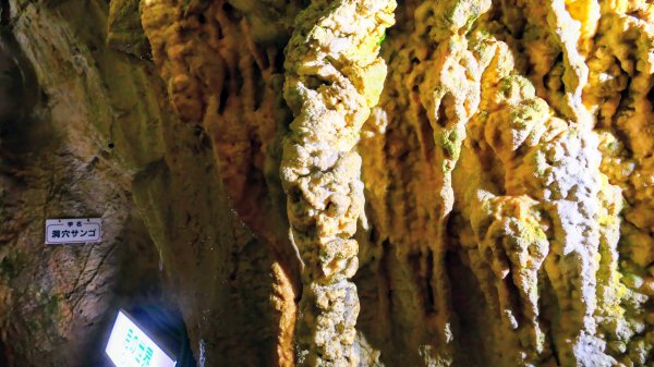 地心年輪之飛驒大鐘乳石洞2982439