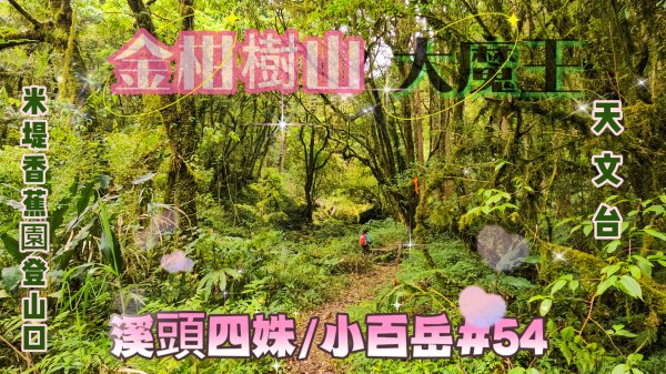 【金柑樹山、大魔王、天文台】溪頭四姝、#小百岳54、烏土堀林道O繞奇幻森林