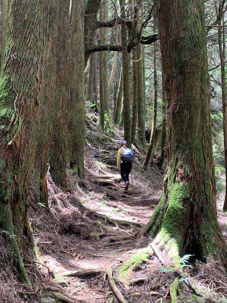 20250517義義兒玉山-東水山2791644