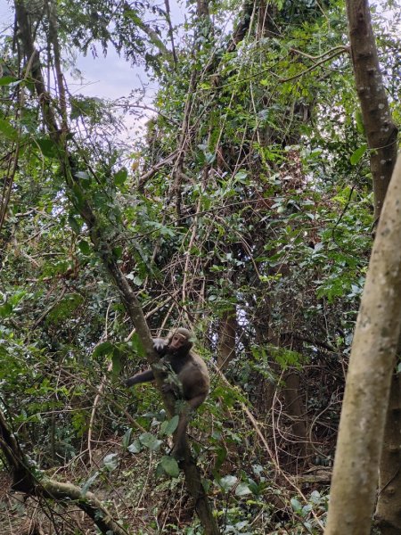 2023.12.24 高雄壽山2835315