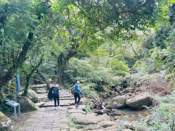 1140928草嶺古道｜福隆-大里天公廟2900273