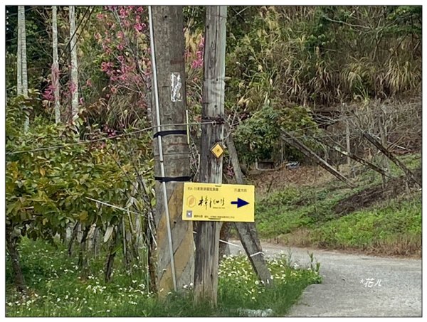 大堀底山 (穿霧隘勇線)3023652