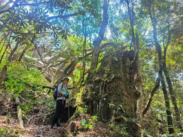 1130511夫拉縱走2500160