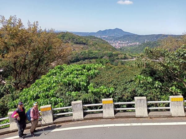 漫遊圓山八二三砲戰紀念公園→劍潭公園→天母→猴洞→半嶺→紗帽路→大港墘公園2045726