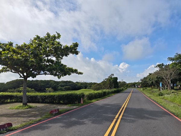 [百山百鳥尋旅-02/15] 2025_0809 社頂自然公園步道2856879