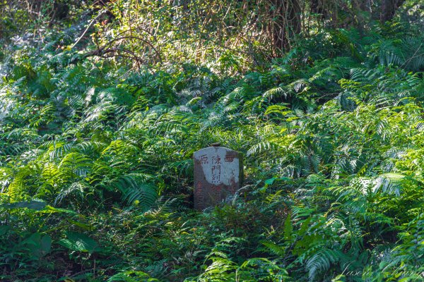 [台北]紗帽山2956595