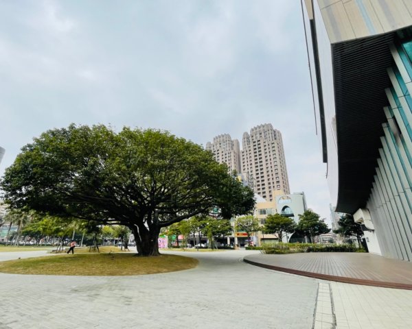 全台灣最美麗的圖書館2716557