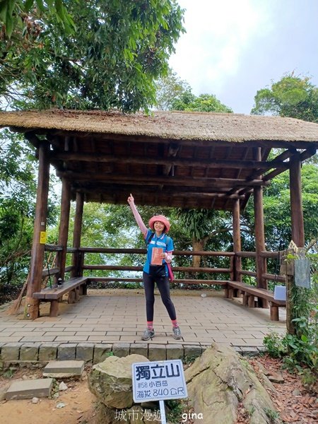 【嘉義竹崎】說好的稜線風景呢。阿拔泉山稜線步道連走獨立山O繞2684120