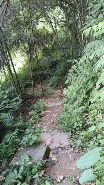 20251004 馬那邦山 - 珠湖 登山口2904790