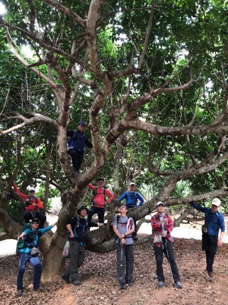 112/1/8苗栗縣頭屋鄉曲洞宮-墨硯山北峰-墨硯山-曲洞宮O型1992966