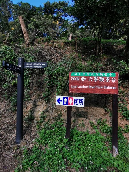 六寮古道→高峰植物園→鳳崎落日→石門水庫楓林→東眼山→鳶山→五酒桶山→台大椰林→富陽公園→象山步道1667352