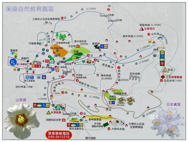 溪頭/山芙蓉之旅712620