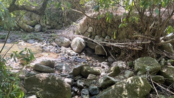 2025/10/15 台北大縱走第7段2916491