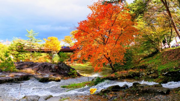 岩手縣嚴美溪2930212