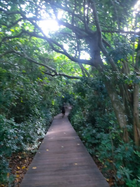 柴山/半屏山2858143