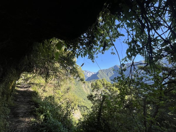 [玉山尋寶任務-03/12] 2025_0810 瓦拉米步道2857485