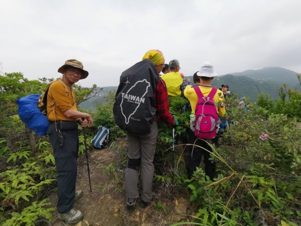 雙獅縱走(內湖獅頭山到士林獅頭山)2377807