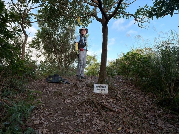 新北 瑞芳 禮樂-保羅尖-雙鬼小霸尖-石梯坑山-半屏瀑布-小錐麓-水管隧道-香巴拉隧道-半屏溪-禮樂2955482
