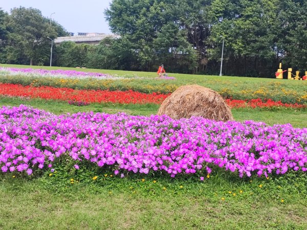 2024年臺北大縱走第八段：捷運動物園站至捷運關渡站2471085