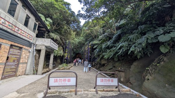 114.12.20劉銘傳隧道-獅球嶺北峰-獅球嶺東砲台山-獅球嶺池-獅球嶺砲台山之旅2966774