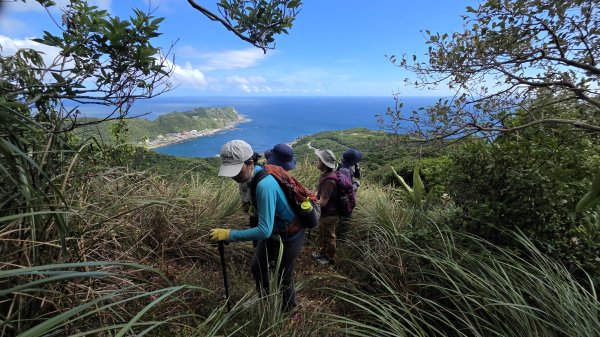夏季的黃金十稜接九稜下門牙稜C型(草長路荒慎行)2880686