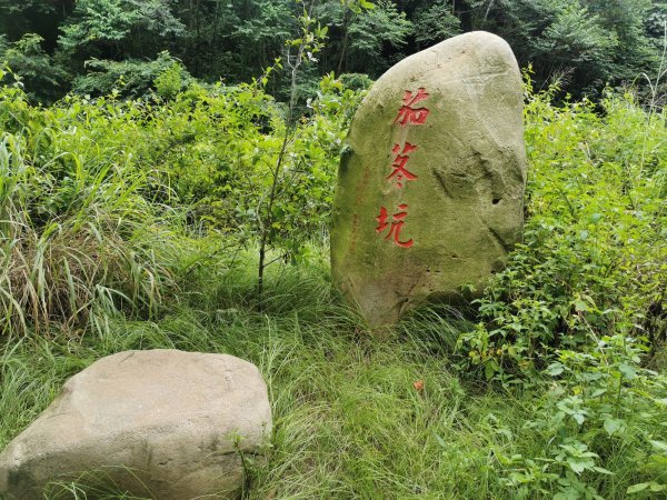 坑內坑森林步道-體驗生態與森林浴的進香道1049362