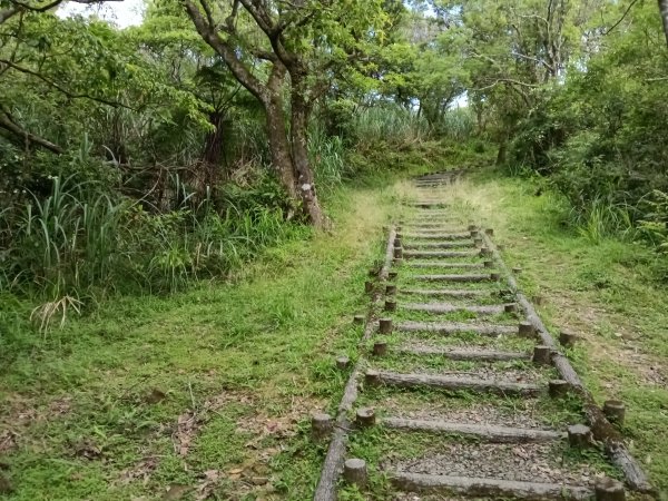 坪林區司公髻尾山+虎寮潭吊橋+粗石斛吊橋+大舌湖步道+漁光派出所2794292