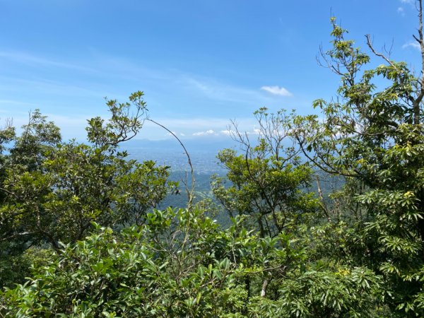 步道巡訪員 l 聖母登山步道109年七月份巡訪1052995