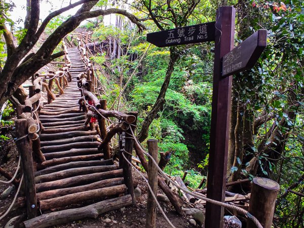 大坑3號登山步道1684742